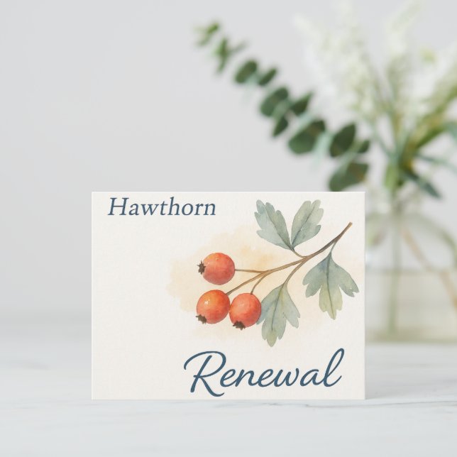 Cartão Postal Hawthorn — Renewal (Em pé/Frente)