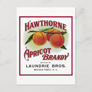 Cartão Postal Hawthorne Apricot Brandy