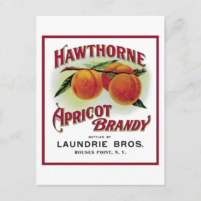 Cartão Postal Hawthorne Apricot Brandy (Frente)
