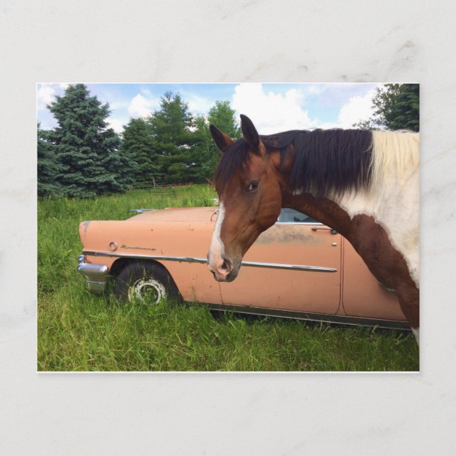 Cartão Postal Hay! (Frente)