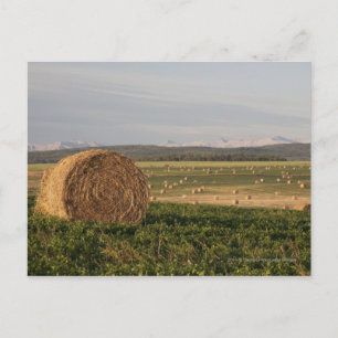 Cartão Postal Hay Bales In A Field With Mountains At Sunrise
