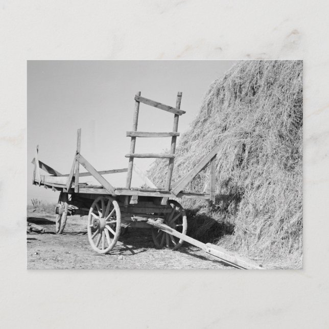 Cartão Postal Hay Stack e wagon - 1939. (Frente)