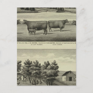Cartão Postal Hayes, Olathe e Ellis Residence e Farm