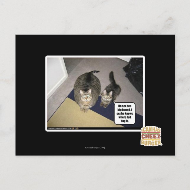 Cartão Postal He sez hes big boned. (Frente)