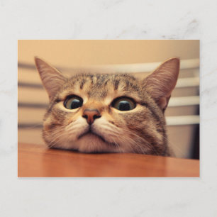 Cartão Postal Head on table