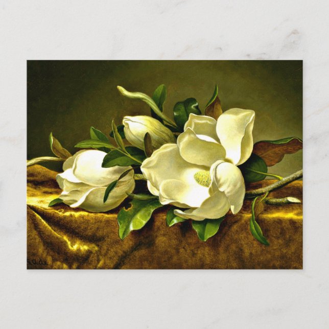 Cartão Postal Heade - Magnolias no Dourado Velvet Cloth (Frente)