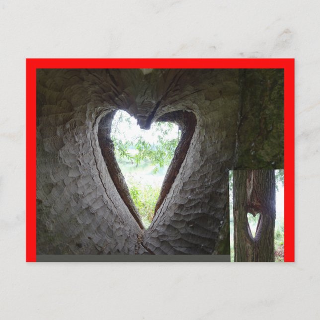 Cartão postal Heart in Tree DIY (Frente)
