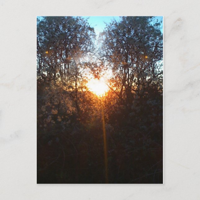 Cartão Postal heartbeamdec2010 (Frente)