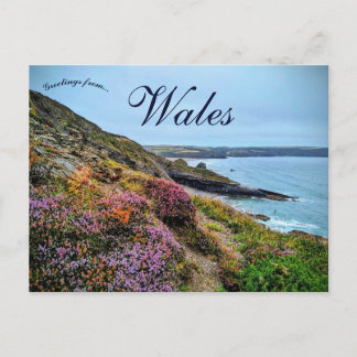 Cartão Postal Heather in Pembrokeshire Wales