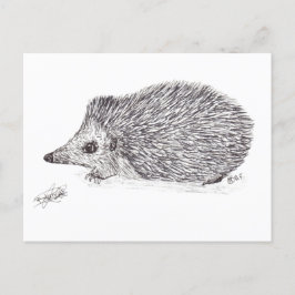 CARTÃO POSTAL HEDGEHOG