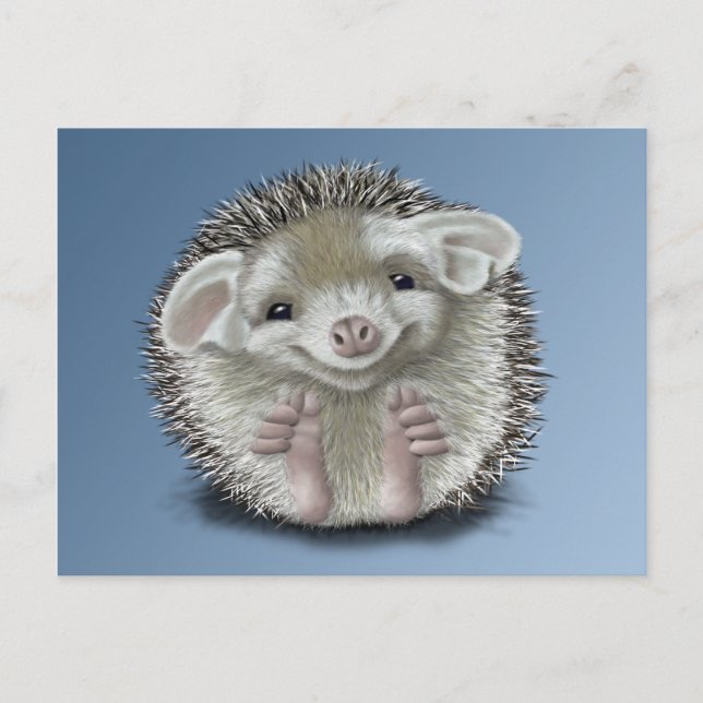 Cartão Postal Hedgehog (Frente)