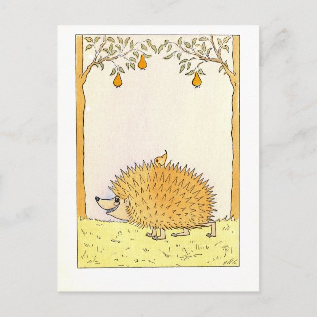 Cartão Postal "Hedgehog - Ilustração Vintage (Frente)
