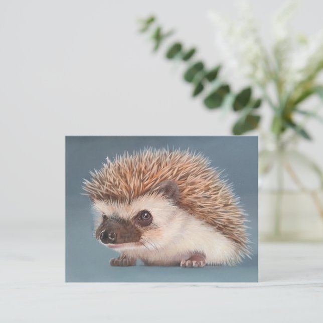 Cartão Postal Hedgehog Postcard (Em pé/Frente)