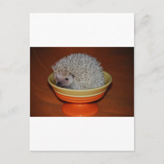 Cartão Postal Hedgehog Sundae