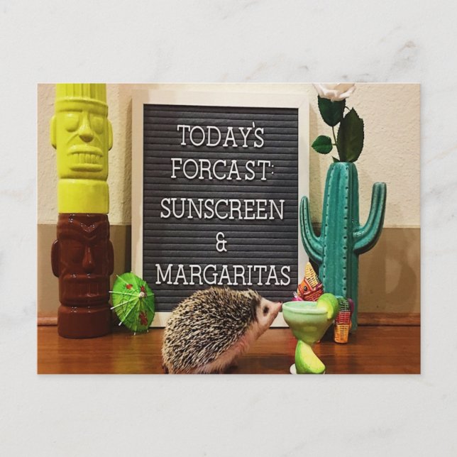 Cartão Postal Hedgehog Sunscreen e Margaritas (Frente)