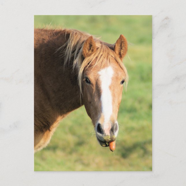 Cartão Postal Heeya, que se passa, doutor? (Frente)