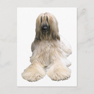 Cartão Postal Helaine's Afghan