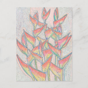 Cartão Postal Heliconia Rostrata Flores Tropicais Arte Floral