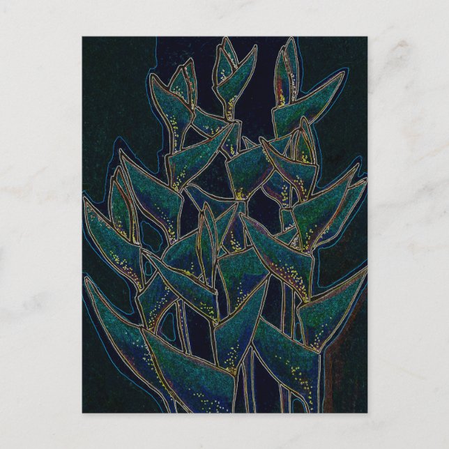 Cartão Postal Heliconia Rostrata Flores Tropicais Preto Floral (Frente)