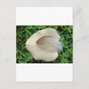 Cartão Postal Hellbraune Feder auf hellbeigem Blatt