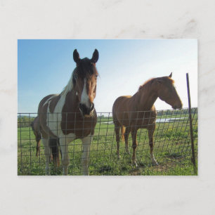 Cartão Postal Hello