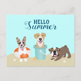 Cartão Postal Hello Summer Beach Dogs