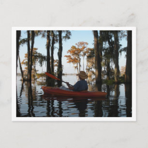 Cartão Postal Henderson Swamp PostCard