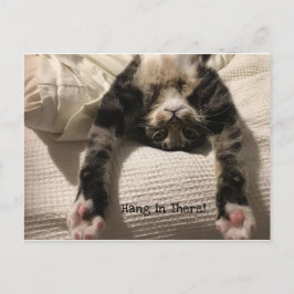 Cartão Postal Henry Cat Consegue Bem Em Breve Encorajamento ou S