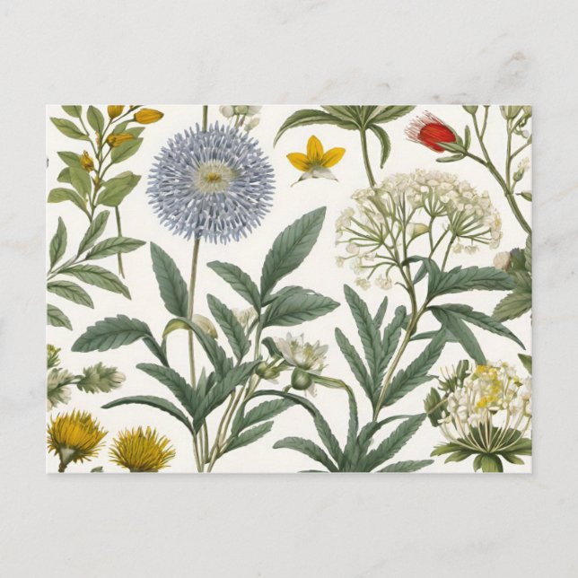 Cartão Postal Herbal Harmony (Frente)