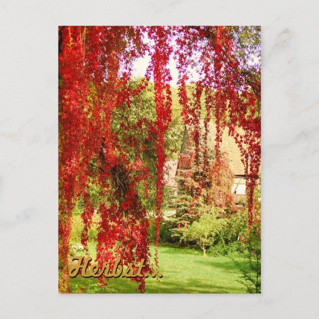 Cartão Postal Herbst / outono (Frente)