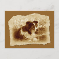 Herding Dog Vintage Tones Sepia