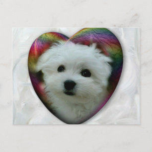 Cartão Postal Hermes o maltês