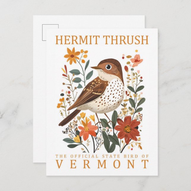 Cartão Postal Hermit Thrush Bird de Vermont Viagem (Frente/Verso)
