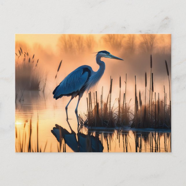 Cartão Postal Heron in a Misty Marsh at Sunrise (Frente)
