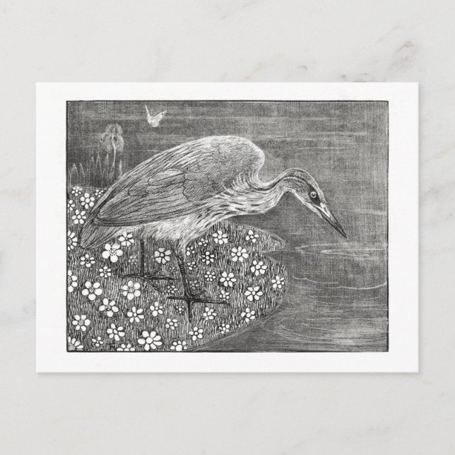 Cartão Postal Heron - Theo van Hoytema - Vintage Art (Frente)