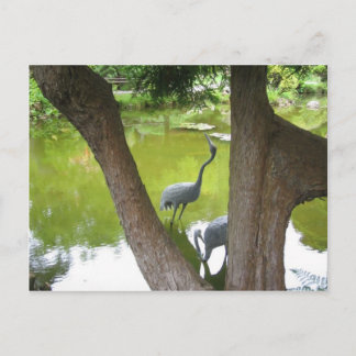 Cartão Postal Herons