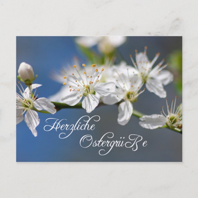 Cartão Postal Herzliche Ostergrüße aus dem Briefkasten (Frente)