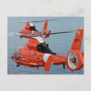 Cartão Postal HH-65 Golfinho