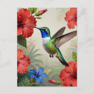 Cartão Postal Hibisco Floral Beija-flor Vibrante