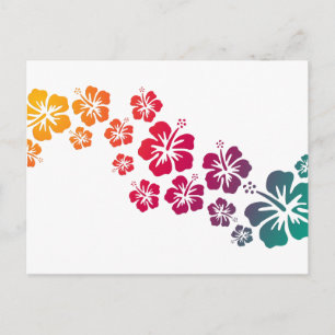 Cartão Postal hibisco floresce colorido