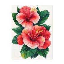 Hibisco Vermelho Claro Tropical do Havaí