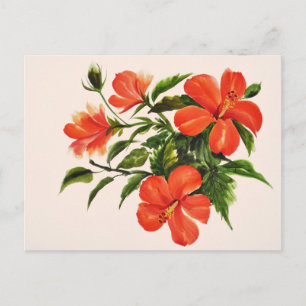 Cartão Postal Hibisco Vermelho Quente