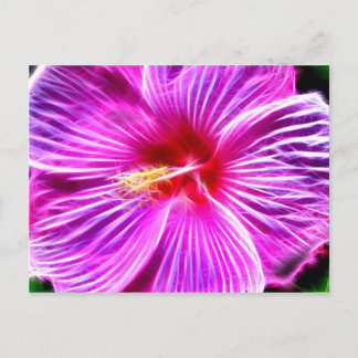 Cartão Postal Hibiscus
