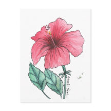 cartão postal hibiscus