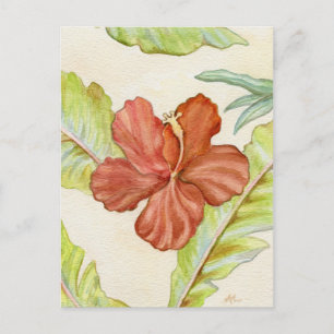 Cartão postal Hibiscus