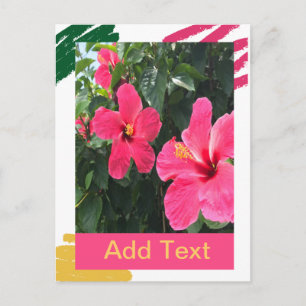 Cartão Postal Hibiscus rosa