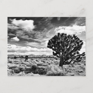 Cartão Postal High Noon