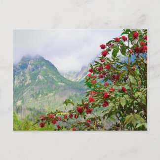 Cartão Postal High Tatras Eslováquia