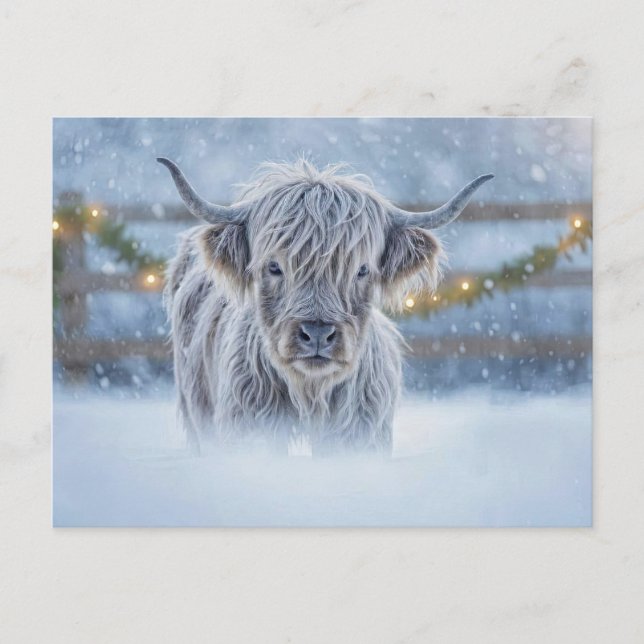 Cartão Postal Highland Calf in Snow Christmas Holiday (Frente)