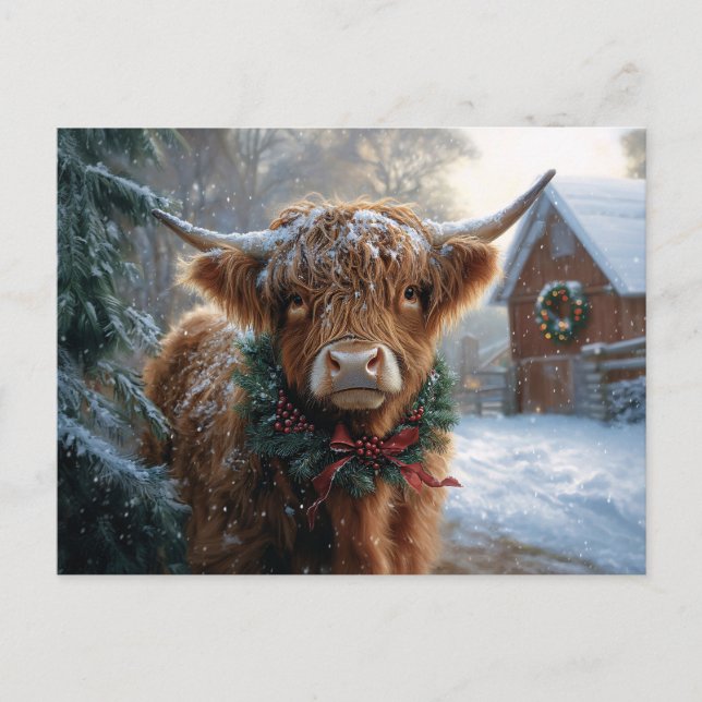 Cartão Postal Highland Cow Rustic Barnyard Natal (Frente)